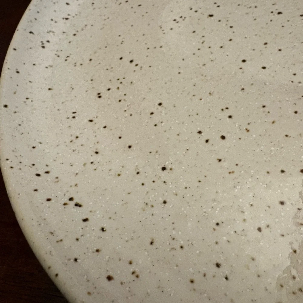 Crate&Barrel Speckled Cream Dinner Plates Pattern WILDER Set of 2